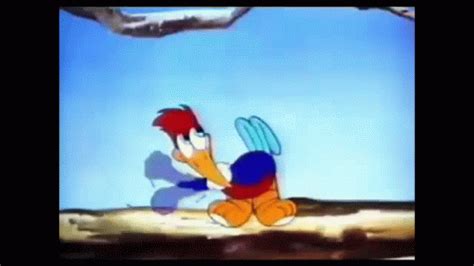 Woody Woodpecker GIF - Woody Woodpecker - Discover & Share GIFs