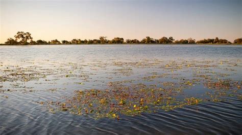 Moulamein Lake | Visit The Murray