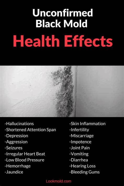 How Dangerous Is Black Mold? | The Truth About Toxic Black Mold