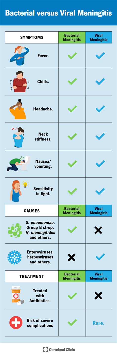 Understanding Meningitis: Causes, Symptoms, And Treatment - Ask The ...