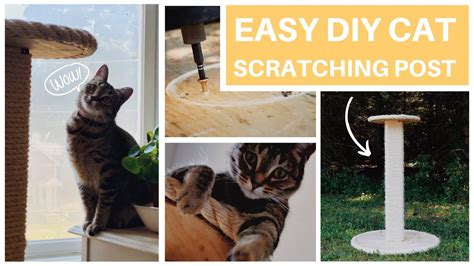 EASY DIY Cat Scratcher Post PLUS Must Know Tips! - YouTube