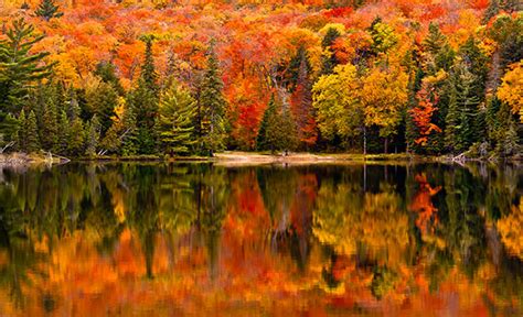 A NH Foliage Vacation | Center Harbor Inn