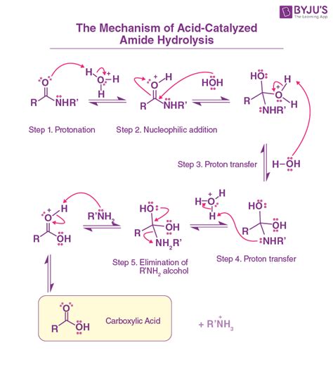 Amide Hydrolysis: Introduction and Types of Amide Hydrolysis