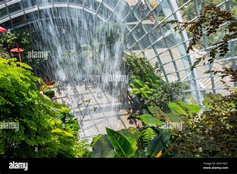 Singapore, Gardens by the Bay, Cloud Forest dome. Inside glassed dome ...