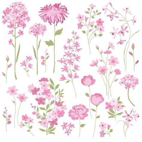 Pink Hand Drawn Flowers Digital Clipart Clip Art Art & Collectibles ...