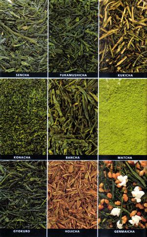 Types of Japanese Green Tea