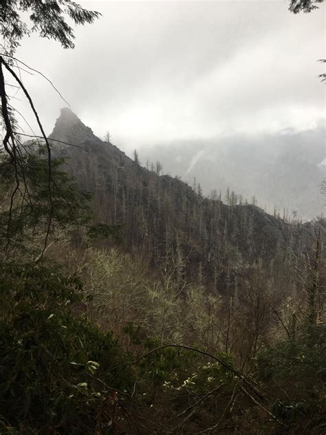 Chimney Tops Trail, Smoky Mountains TN : r/hiking