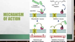 Alpha glucosidase inhibitor | PPT