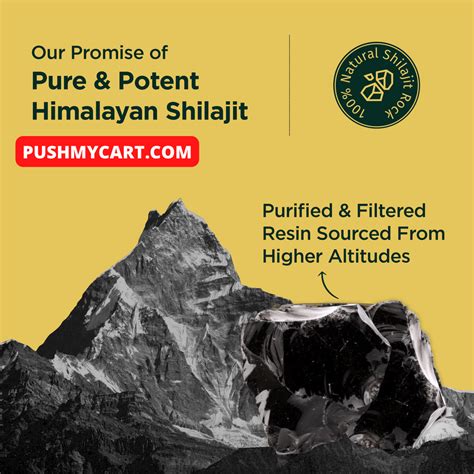 Shilajit Benefits Uses and Precautions – PUSHMYCART