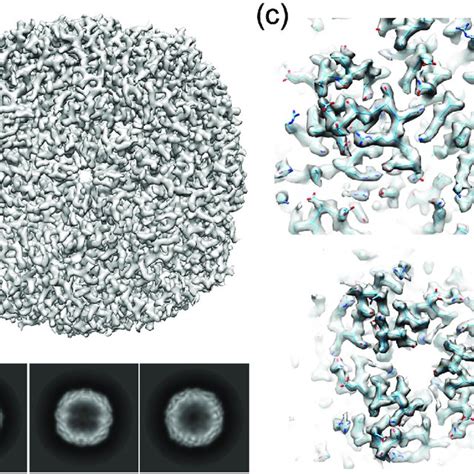 Final apoferritin 3D reconstruction contoured at 2.5 σ (a) Isosurface ...