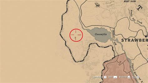 Red Dead Redemption 2 Wild Horse Breeds Locations Guide - RDR2.org