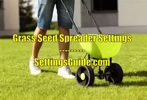 Grass Seed Spreader Settings Guide [Best Grass Seeds] 2023