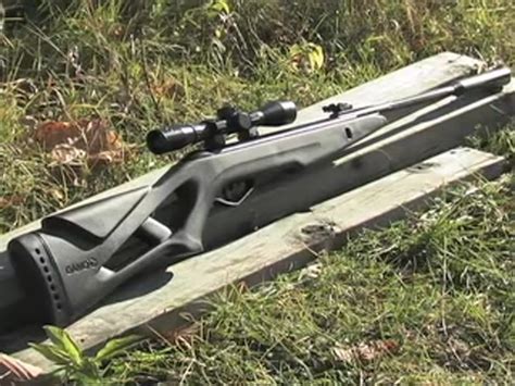 Gamo® Silent Cat .22 cal. Air Rifle with Scope » Sportsman's Guide Video