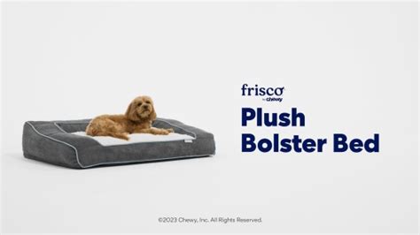 FRISCO Orthopedic Sofa Cat & Dog Bed with Removable Cover, Beige, XX ...