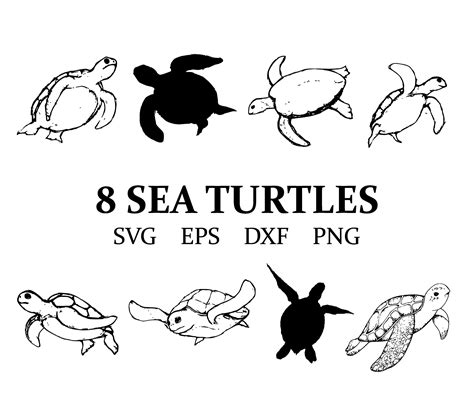 Sea Turtles Svg Turtle Silhouettes Turtle Clipart - Etsy