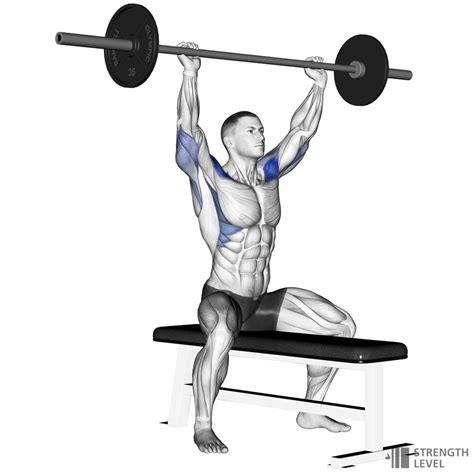 Seated Shoulder Press Vs Military | Awesome Home