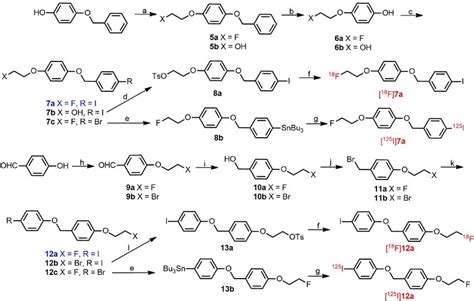 Chemical synthesis routes. Reagents and conditions: (a)... | Download ...