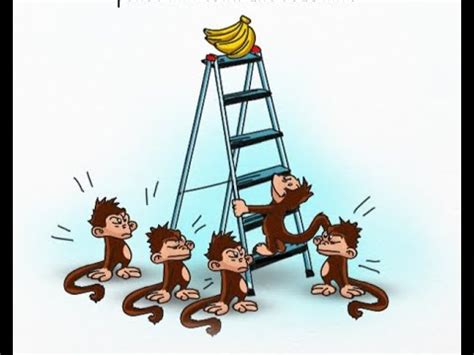 The Five Monkeys Experiment - YouTube