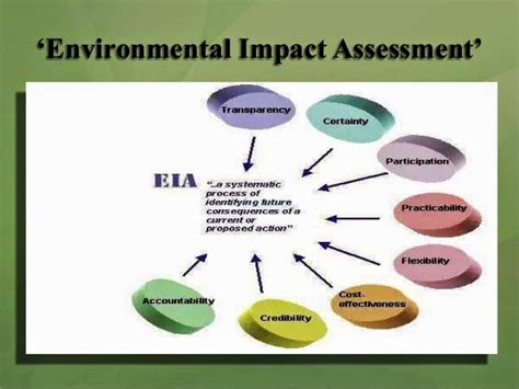 Thoughts to Promote Positive Action...: Environmental Impact Assessment ...