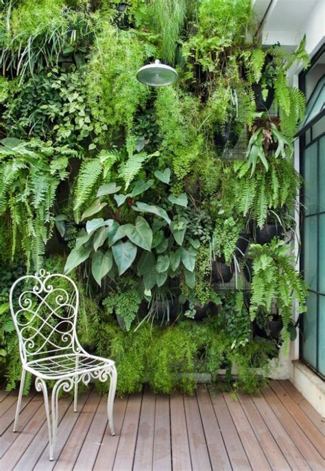 Como fazer um jardim vertical em casa