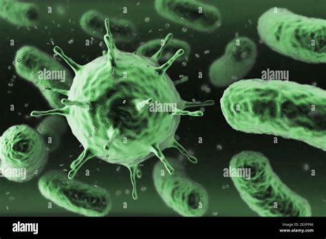 Bacteria under microscope Stock Photo - Alamy