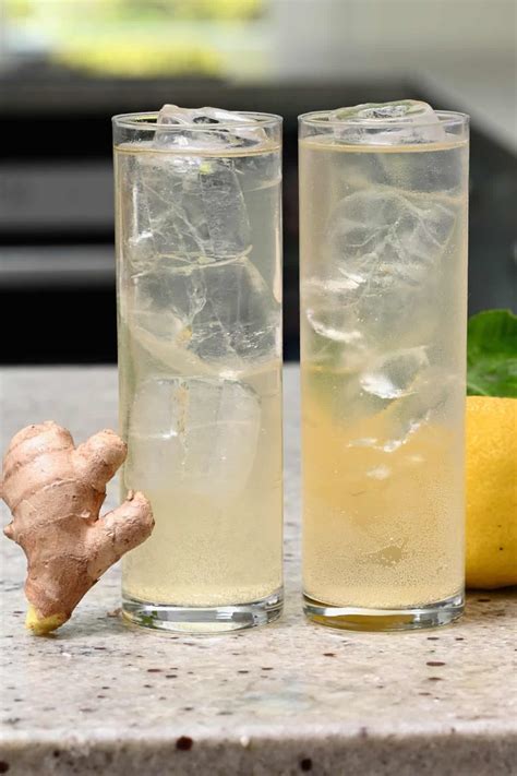 Ginger Ale Recipes Non Alcoholic | Dandk Organizer