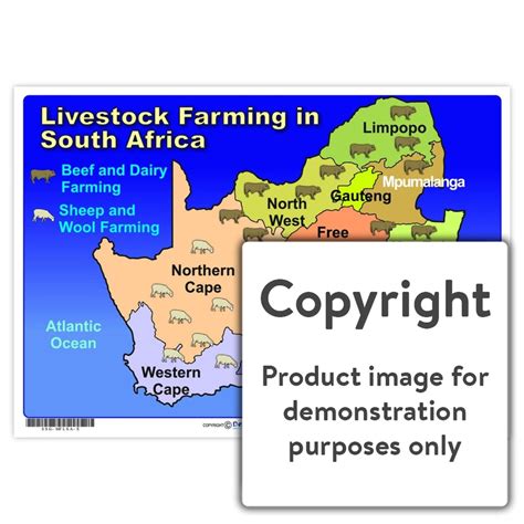 Livestock Farming in South Africa — Depicta