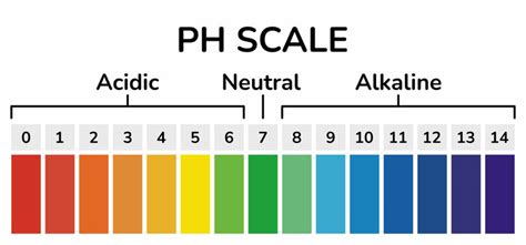 Blank Ph Scale To Color