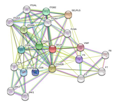 P-Selectin/CD62P Protein Overview | Sino Biological