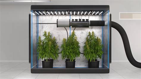 How to Set up a Grow Tent Ventilation System: Step by Step Guide ...