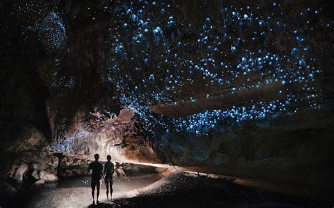 Under a glow worm sky - couple shining a light into Waipu cave filled ...