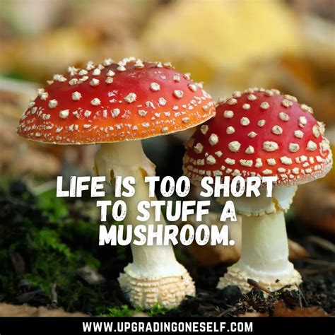 Top 15 Mind-Blowing Quotes About Mushroom