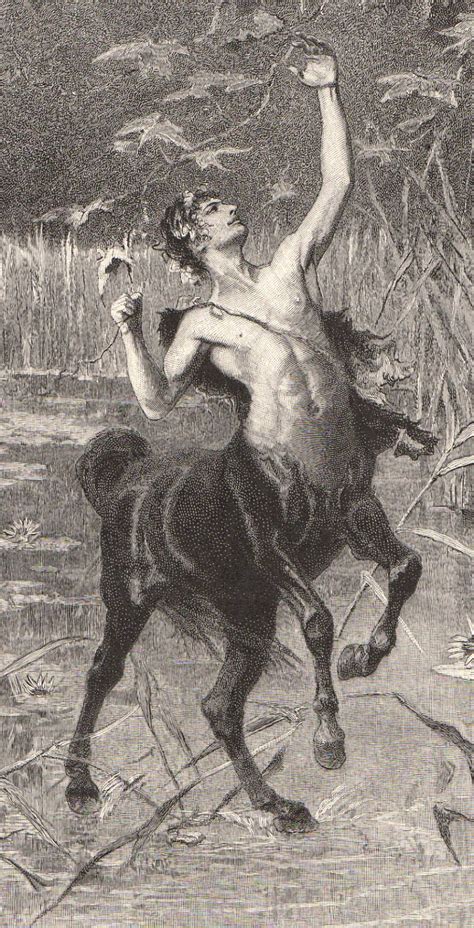 1901 Art Print to frame Centaur Half Man Half by OldPaperAndPages