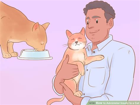 How to Administer Insulin to a Cat (with Pictures) - wikiHow