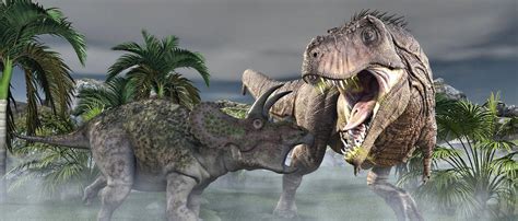 T-Rex Vs Triceratops. by TeddyBlackBear2040 on DeviantArt