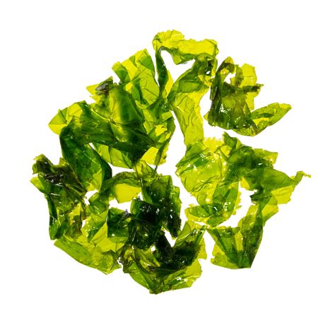 Sea Lettuce | Grocery | Baldor Specialty Foods