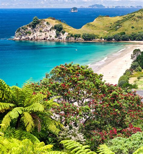 Beautiful Hahei Beach, Coromandel Peninsula, New Zealand. Honeymoon In ...