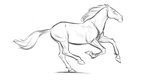 How to Draw Horses Course - The Art of Aaron Blaise