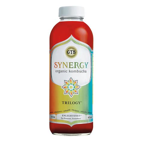 GT'S Synergy Trilogy Kombucha Drink Organic & Raw, 16 Fl Oz - Walmart ...