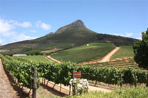 Cape Town, Winelands & Garden Route - Escorted Holiday South Africa