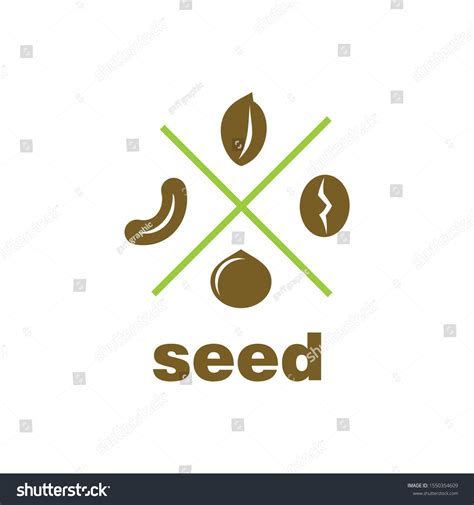 Seed Vector Collection Logo Icon Ready Stock Vector (Royalty Free ...