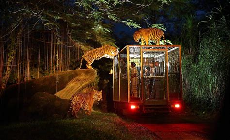 The 5 Best Zoos in Bali | Authentic Indonesia Blog