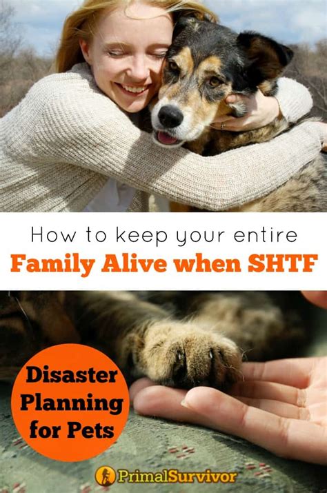 Disaster Preparedness for Pets: How to Keep Your Entire Family Alive ...