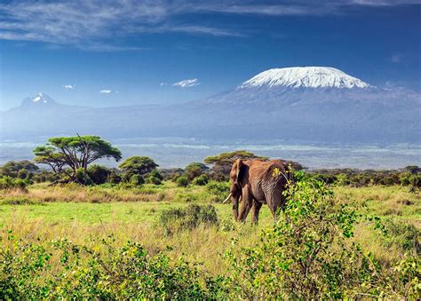 Visit Mount Kilimanjaro on a trip to Tanzania | Audley Travel US