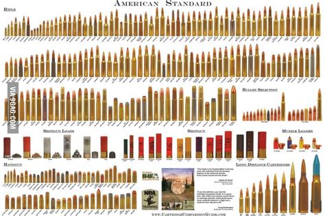 All Bullet Types | Bullet types, Bullet, Ammo