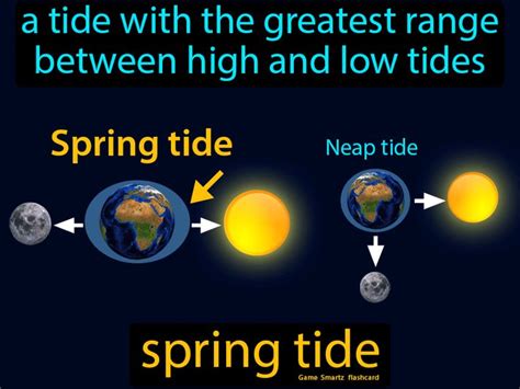 Spring Tide - Easy Science | Spring tide, Neap tides, Science lessons