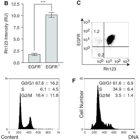 EGFR − Cells Self-Renewed and Produced EGFR + Progeny %EGFR – %EGFR ...