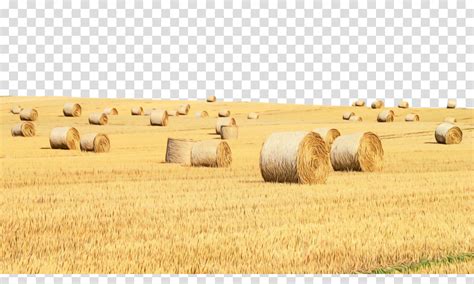 Field clipart hay field, Field hay field Transparent FREE for download ...