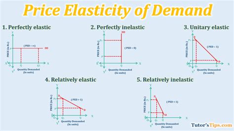 Price Elasticity of Demand-Types and its Determinants - Tutor's Tips