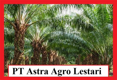 Profil Lengkap PT Astra Agro Lestari, Jakarta Timur